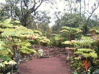 Volcano Rainforest Lodge Экстерьер фото